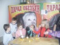 /album/pokhod-v-zoopark/mir-rjeptilij-3-jpg1/